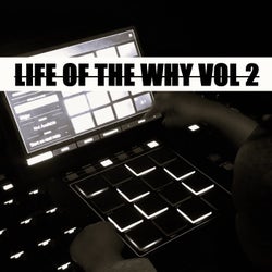 Life Of The Why Vol 2