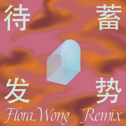 Sleeping Tiger on the Bund 蓄势待发 (Flora Wong Remix)
