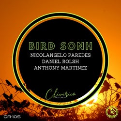Bird Sonh