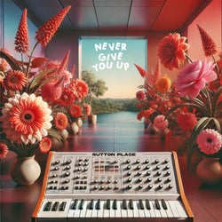 Never Give You Up