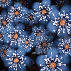 A Wonderful Album
