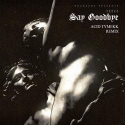 Say Goodbye (Acid Tymekk Remix)