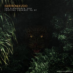 The Elektronik Zoo Festival Journey