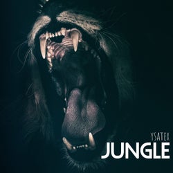 Jungle