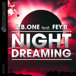 Night Dreaming (feat. Fey.B)