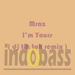 I'm Yours (DJ Tik Tok Remix)