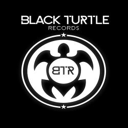 Black Turtle chart Best 2019 by Josh Leunan