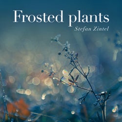 Frosted Plants