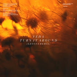 Turn It Around (Leossa Remix)