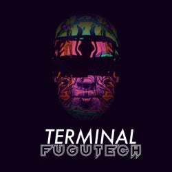 Terminal