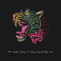 Can't Touch This