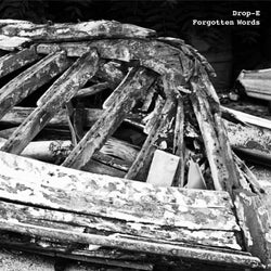 Forgotten Words