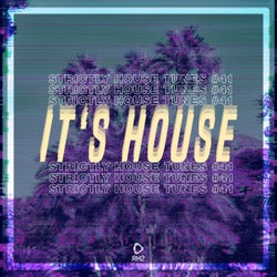 It's House: Strictly House Vol. 41