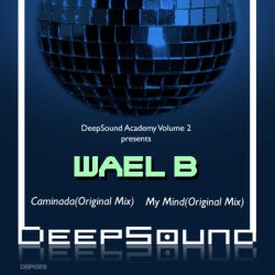 DeepSound Academy Volume 2
