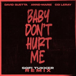 Baby Don't Hurt Me (Sofi Tukker Remix Extended)