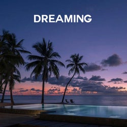Dreaming (feat. FEEZZ)