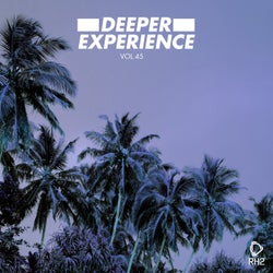 Deeper Experience Vol. 45