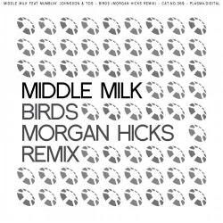 Birds (Morgan Hicks Remix)