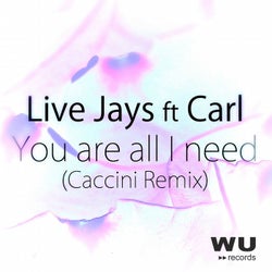You Are All I Need (feat. Carl) [Caccini Remix]