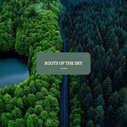 Roots of the Sky