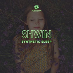 Synthetic Sleep