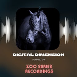 Digital Dimension