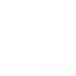 Jocelyn Flores