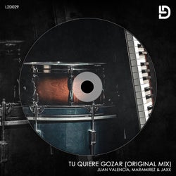 Tu Quiere Gozar (Original Mix)
