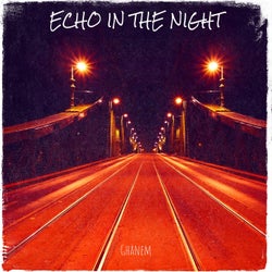 Echo in the Night