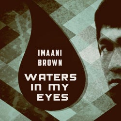 Waters In My Eyes (Incl. Evan Rhodes Mix)