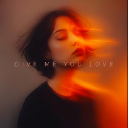 Give Me You Love
