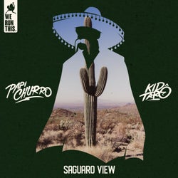 Saguaro View
