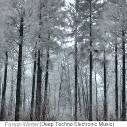 Forest-Winter (Deep Techno Electronic Music), Vol. 4