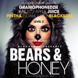 Bears & Honey Chart - January, '13