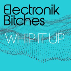 Whip It Up ( Extended Mix)
