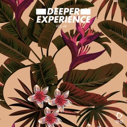 Deeper Experience Vol. 48