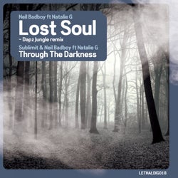 Lost Soul / Through The Darkness