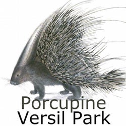 Porcupine