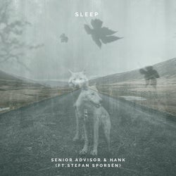 Sleep (feat. Stefan Sporsen)