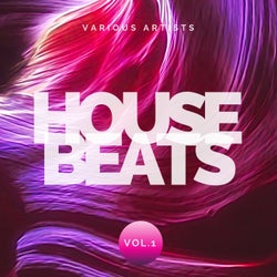 House Beats, Vol. 1