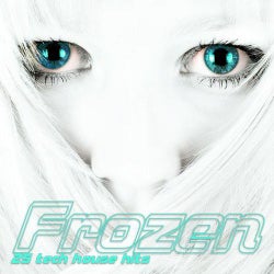 Frozen 25 Tech House Hits