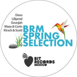 BRM Spring Selection 2010