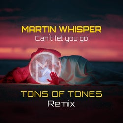 Can't Let You Go (Tons of Tones Remix)