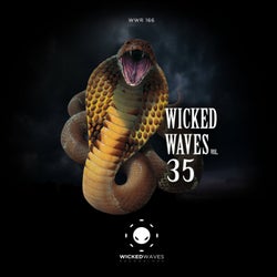 Wicked Waves, Vol. 35