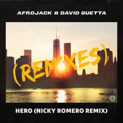Hero (Nicky Romero Extended Remix)