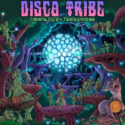 Disco Tribe