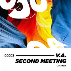 Second Meeting