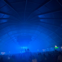 Summer festival tunes