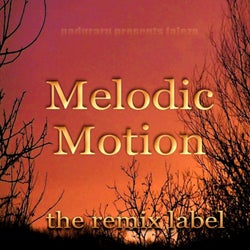 Melodic Motion (Aerobic House Music)