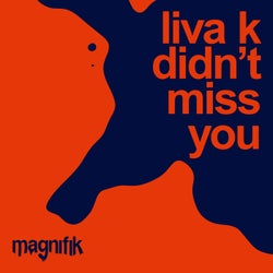 Didn't Miss You